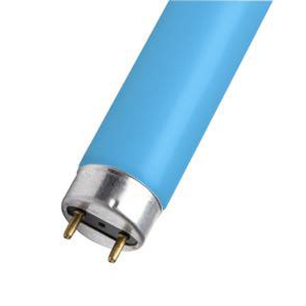 Blue colour led on sale tube light