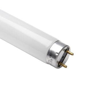 F15t8 cw store fluorescent bulb