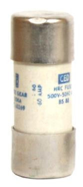 10147 - 60A Consumer Unit Fuse 22.2mm Ø