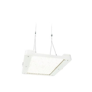 Philips BY481P LED250S/865 PSD WB GC SI - LED Highbay GentleSpace BY481P 162W 25000lm 44D - 865 Daylight | IP65 - Dali Dimmable