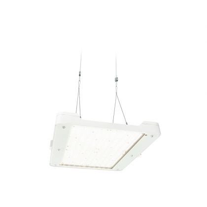 Philips BY481P LED250S/865 PSD WB GC SI - LED Highbay GentleSpace BY481P 162W 25000lm 44D - 865 Daylight | IP65 - Dali Dimmable