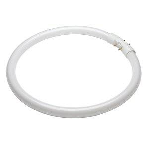 Circular Fluorescent Tube 55w T5 2Gx13 Philips Coolwhite/840 Light Bulb - 55TL5C840 - 305mm - 4000K