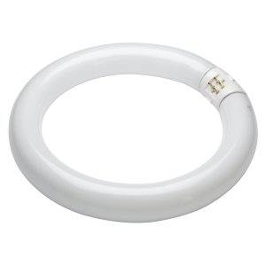 Circular Fluorescent Tube 32w T9 G10q Philips Coolwhite/840 Light Bulb - 4000 Kelvin - 305mm