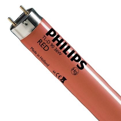 Philips TL-D Colored 36W Red 1SL/25 - MASTER TL - D 36W - Red | 120cm