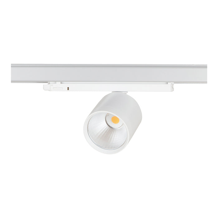 Bailey 142130 - Lival GA-016 Standard 34W/930 50D WFL White