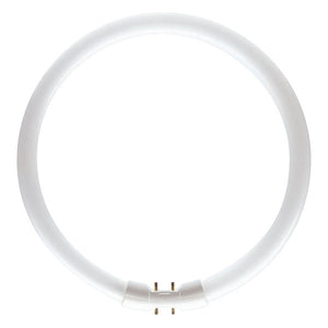 Bell T5 Circular 22W 840 Cool White