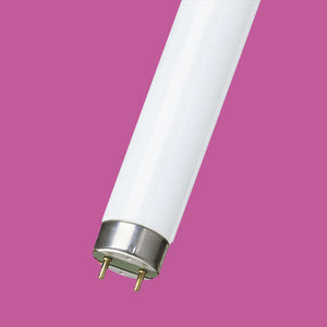 18"" 15W T8 Violet  Other - The Lamp Company