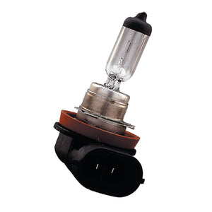 Bailey 70100040042 - PGJ19-2 H11 24V 70W Bailey Bailey - The Lamp Company