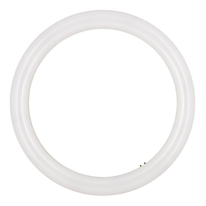 Bailey - 80100040821 - LED Ecobasic Circular G10q 16W (32W) 1600lm 840