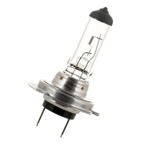 Bailey AH712055 - PX26D H7 12V 55W 400hrs Bailey Bailey - The Lamp Company