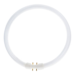 Bailey - FC055840T5/01 - MASTER TL5 Circular 55W/840 1CT/10 Light Bulbs PHILIPS - The Lamp Company