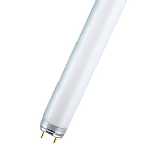 Bailey - FT036880/02 - LUMILUX© T8 36 W/880 Light Bulbs OSRAM - The Lamp Company