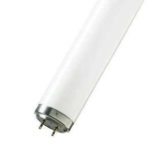 4' T12 Fluorescent Tube 40W 640 Cool White  Other - The Lamp Company