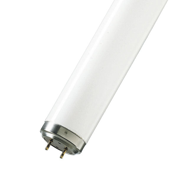 4' T12 Fluorescent Tube 40W 640 Cool White