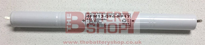 TBS 4FM13-0T4-SP17 4.8v 13.0Ah Ni-Mh Battery Pack