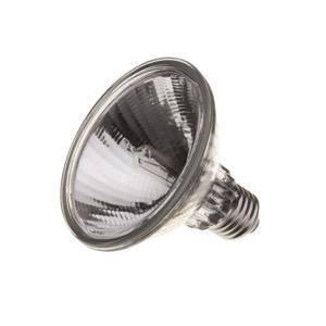 PAR30 75W E27 Spot Lamp