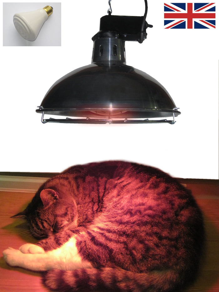 Leisure Heating Pet Heater with 250W Dull Emitter and 2 Heat Settings